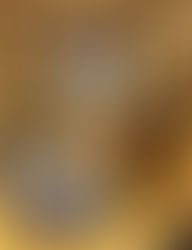 Proyecto colaborativo: ¡las redes sociales y la Lectoescritura Inicial!                    