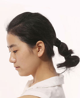 Yanmin Zhao The Taihu Stone Dream Butterfly_edited_edited.jpg