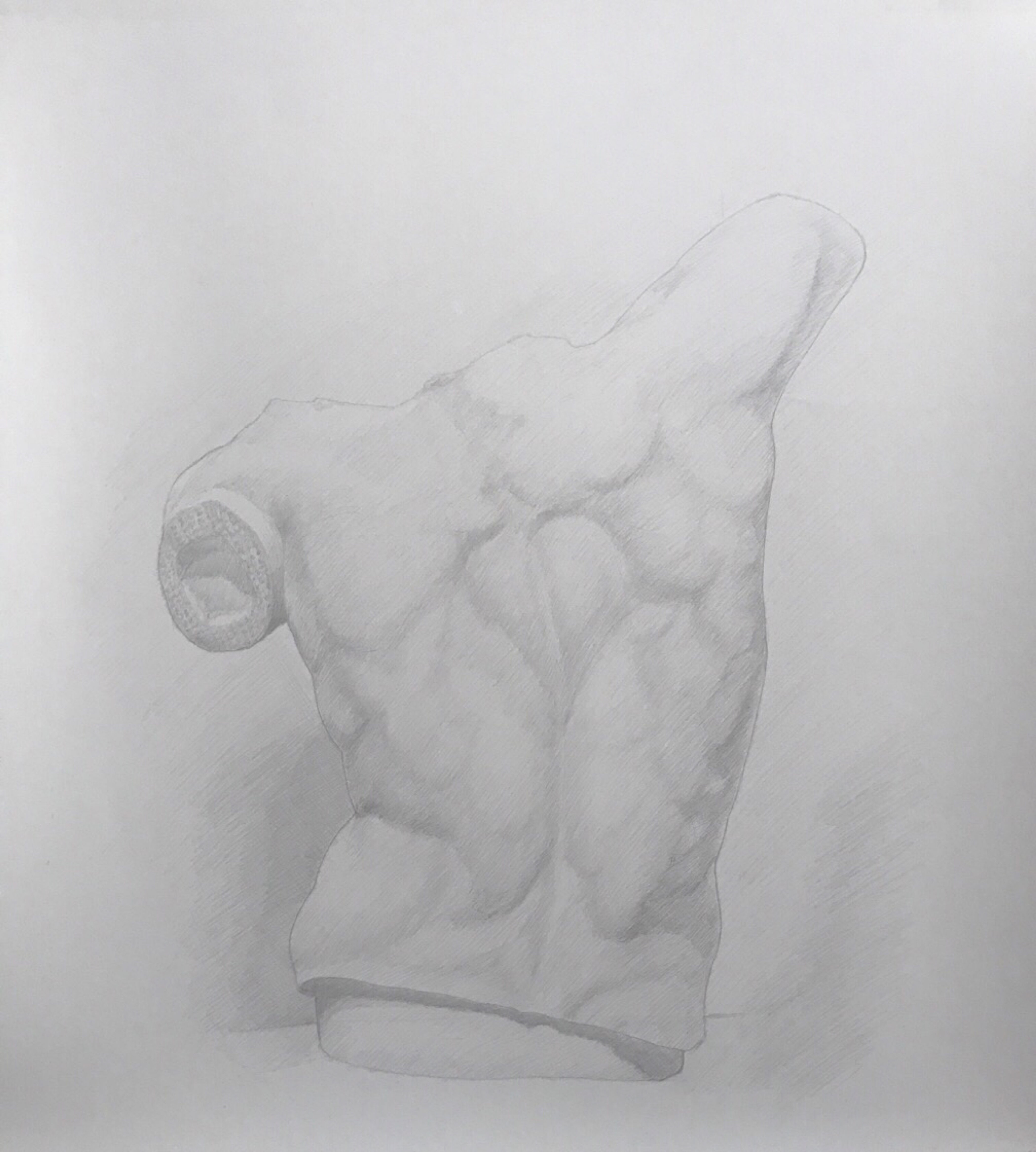 Silverpoint drawing