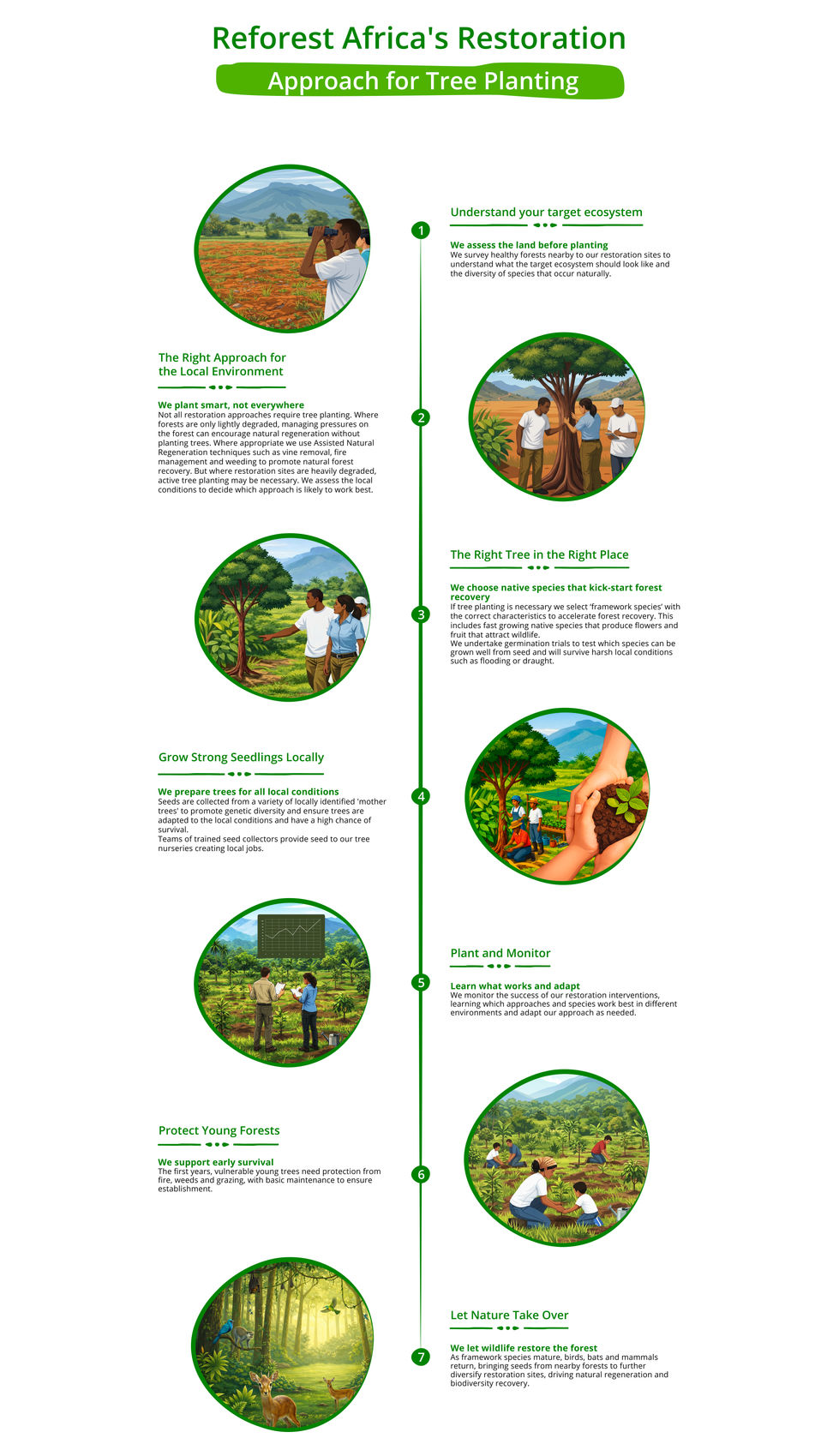 Infographic 2 - Reforest Africa_Pen&PaperScience