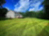 IMG_0927.jpeg