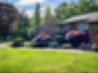 IMG_0936.jpeg