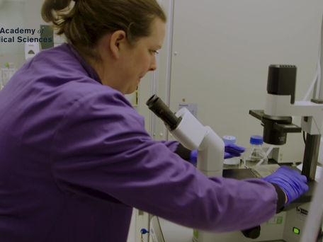 The impact of Academy of Medical Sciences grant schemes on careers