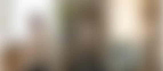 The Tiny Step Blueprint: Build Lasting Habits and a Peaceful Home, One Day at a Time