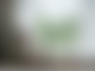 Home Energy Flow: How Organization Impacts Your Mood, Motivation & Daily Behavior