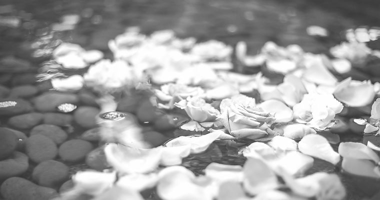 Wedding Roses_edited_edited.jpg