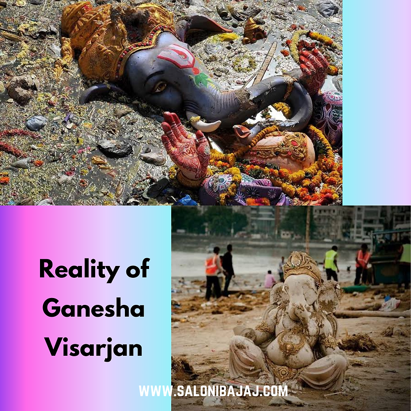 Idols of Lord Ganesha immersed in drain, canal and near beach broken.