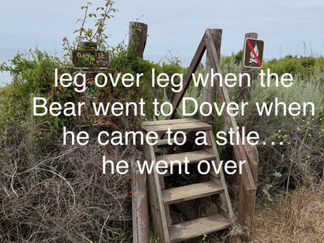 Where is Bear (&MsSally)?