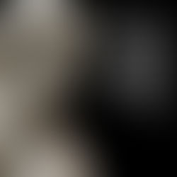 Musical literacy is important