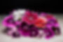 Wagoga Edible Flowers