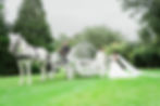 Fairytale wedding horse and carriage