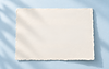 bg.png