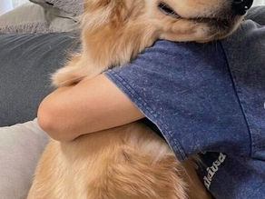 🐾 Hugs & High Fives with Our Furry Friends