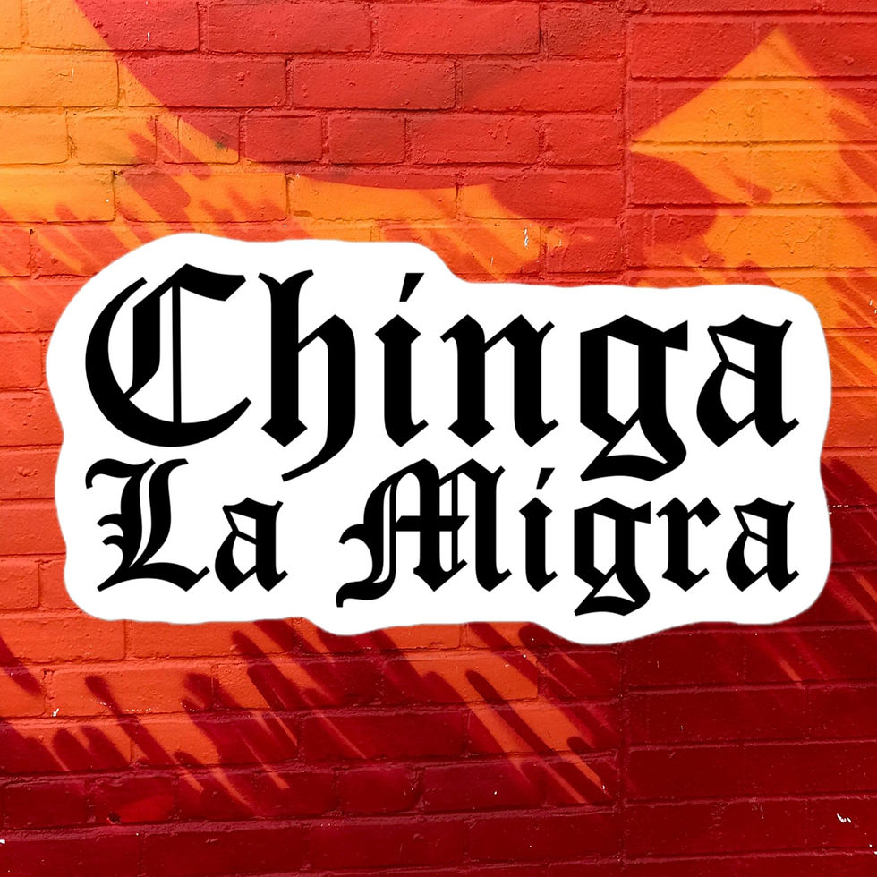 Chinga La Migra