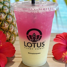 Lotus_Tropical_Surge_Simply_Bowls.jpg