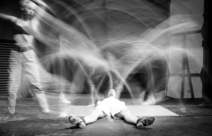 Chrissi Parrot Dance Co