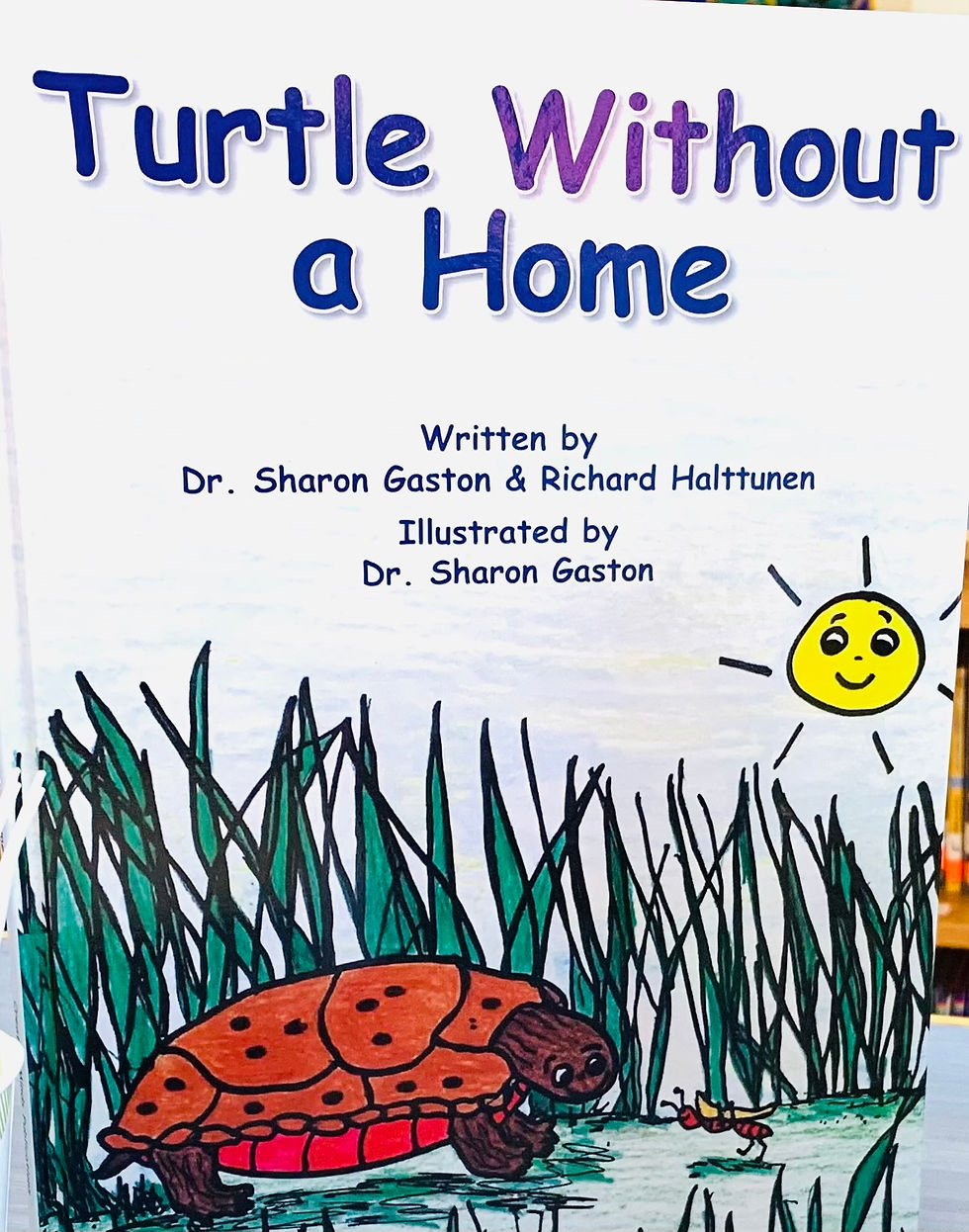 Turtle Without a Home