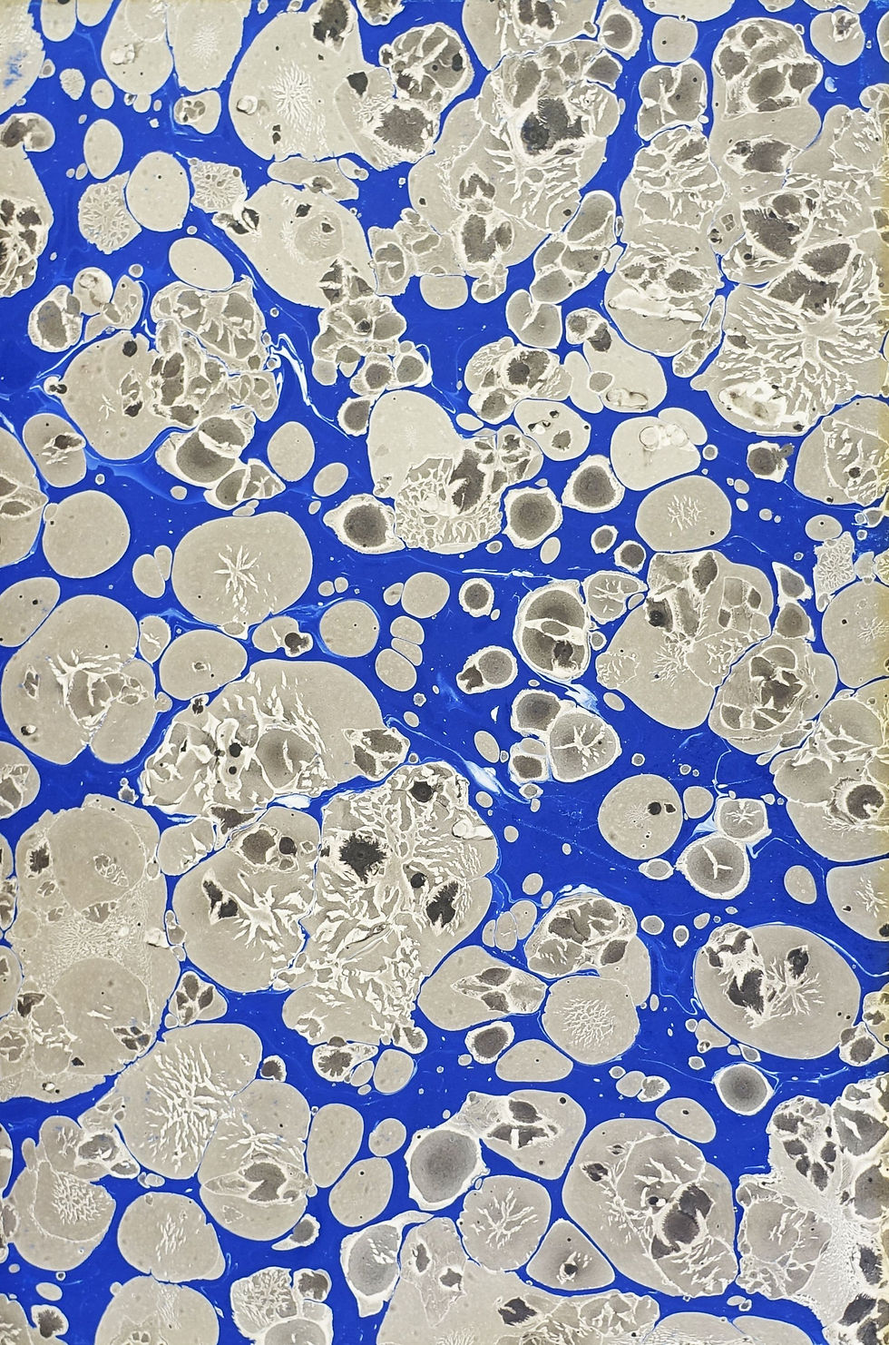 Mann, Thomas. Tristan. Mit 12 monogrammierten 3.jpg