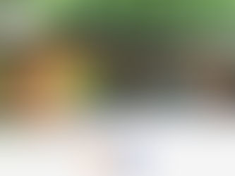 Explorando la Vanguardia de la Arquitectura con Contenedores Marítimos
