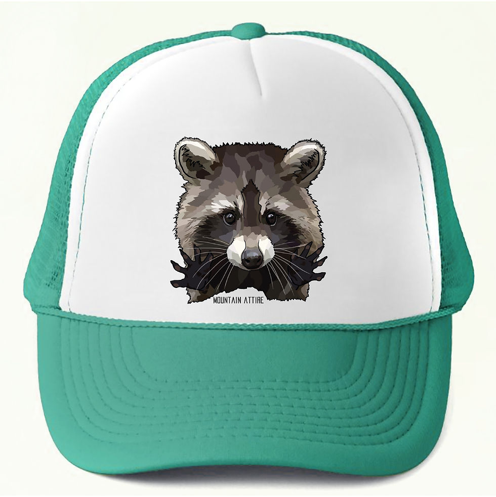 Thumbnail: Raccoon Foam Hat