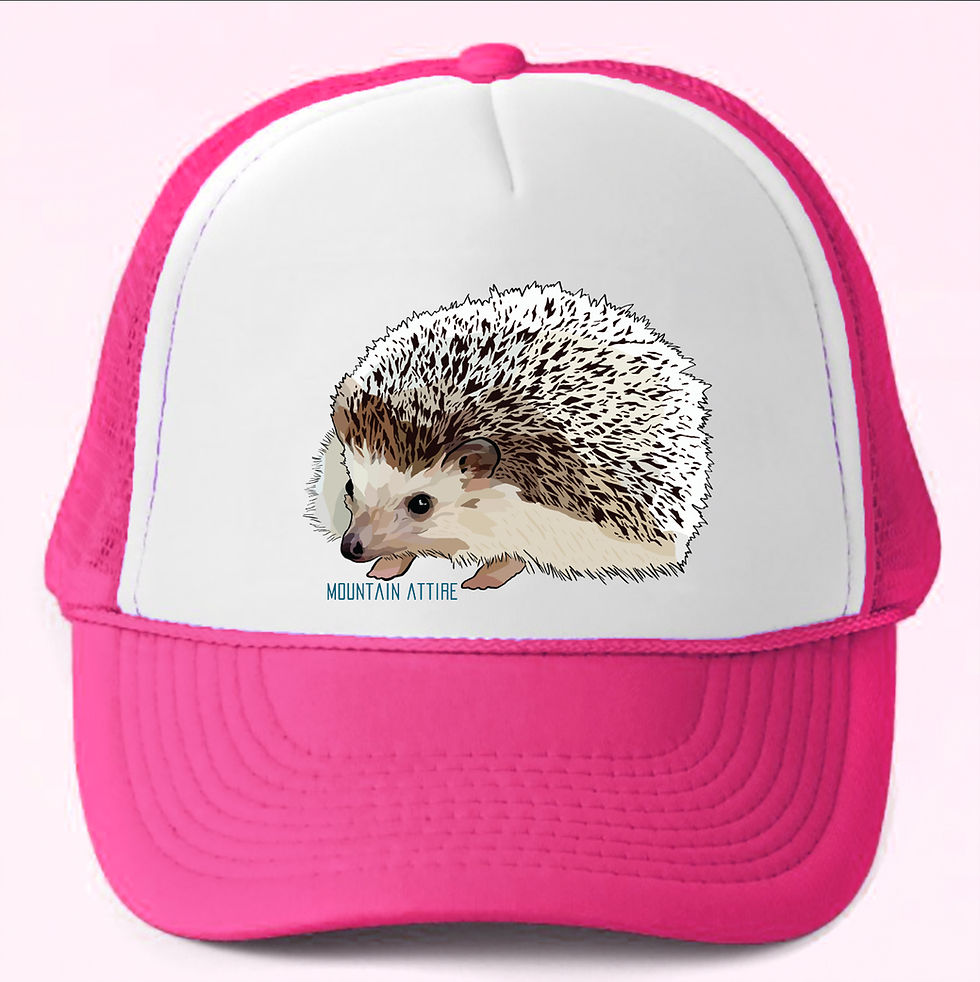 Thumbnail: Hedgehog Foam Hat