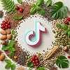TIKTOK-TS