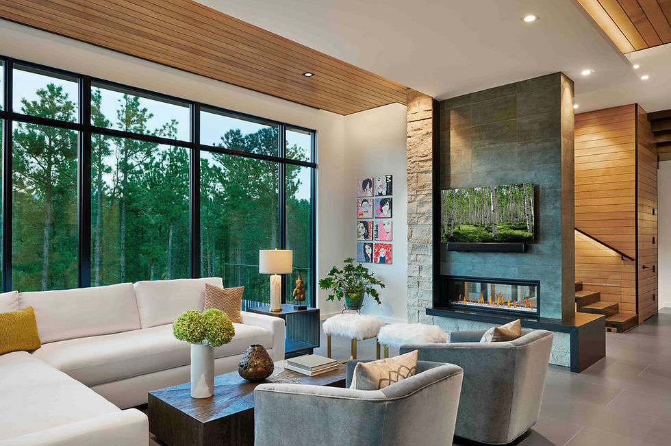1602-MosaicArchitects-Adjusted-IMG#5 copy_Edited copy.jpg