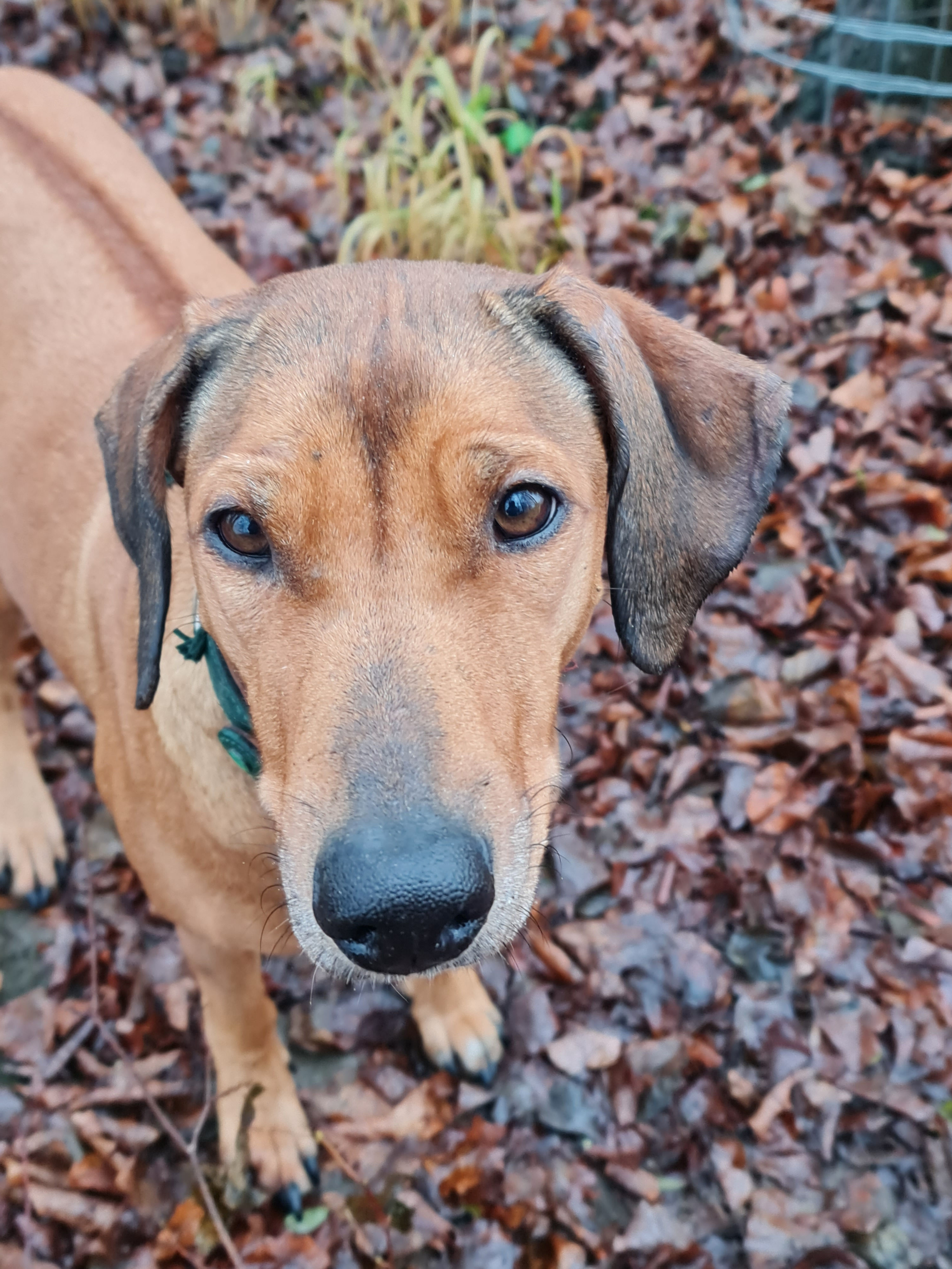 How to Beschäftigung