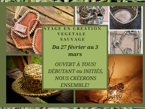 STAGE CREATION VEGETALE SAUVAGE DU SAMEDI 27 Février au MERCREDI 3 Mars