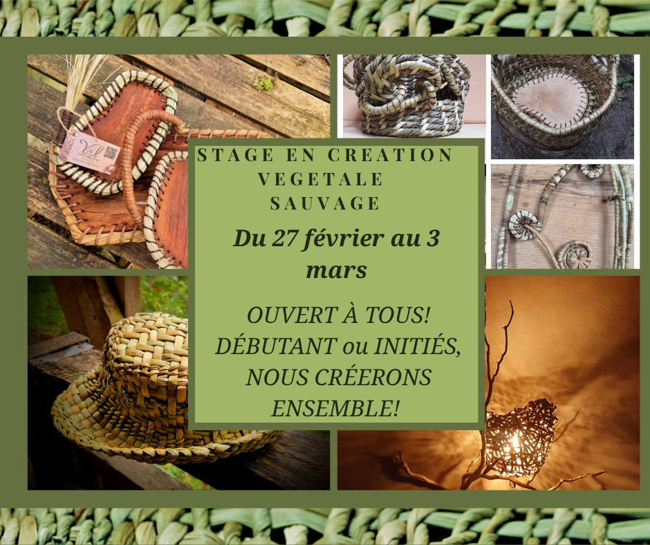 STAGE CREATION VEGETALE SAUVAGE DU SAMEDI 27 Février au MERCREDI 3 Mars