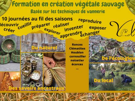 Formation de 10 jours en création végétale sauvage.