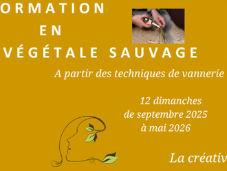 FORMATION EN CRÉATION VÉGÉTALE SAUVAGE