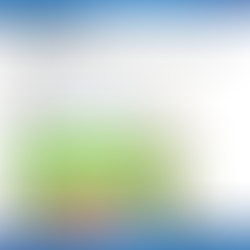 Innovación y Cooperación Transcontinental: El Nuevo Mercado Argentino en Shenzhen