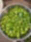 Bowl of Jalapenos photo.JPEG