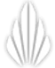custom-logo-2.png