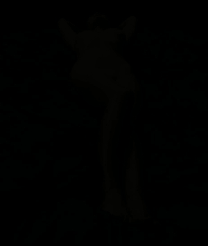 0_ba64b_384cf4e_orig