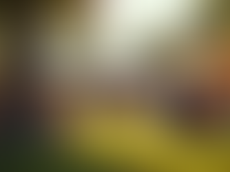 Transforming Lives: Join the Kataluma Project Today