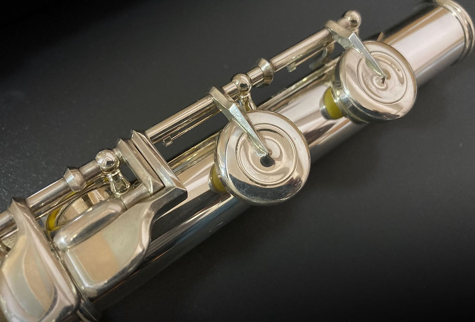 Thumbnail: Muramatsu DS Flute