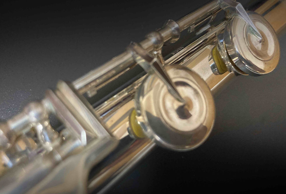 Thumbnail: Muramatsu DS flute Philippines used