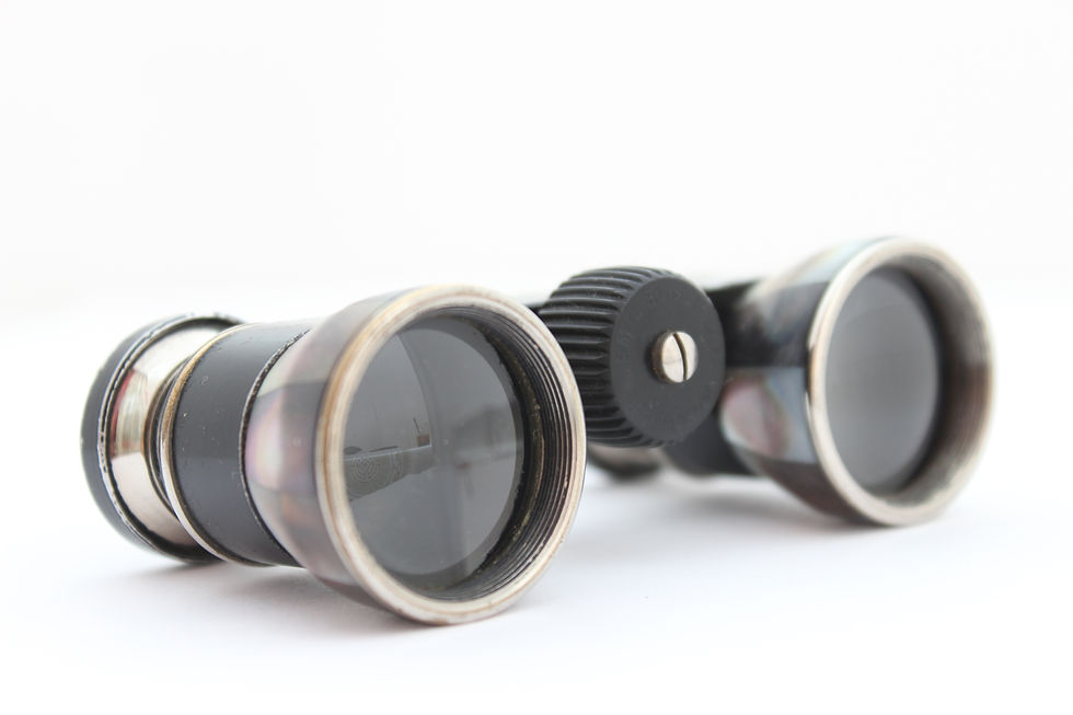 Миниатюра: Антиквариат бинокль Emil Busch Multinett Германия Перламутр