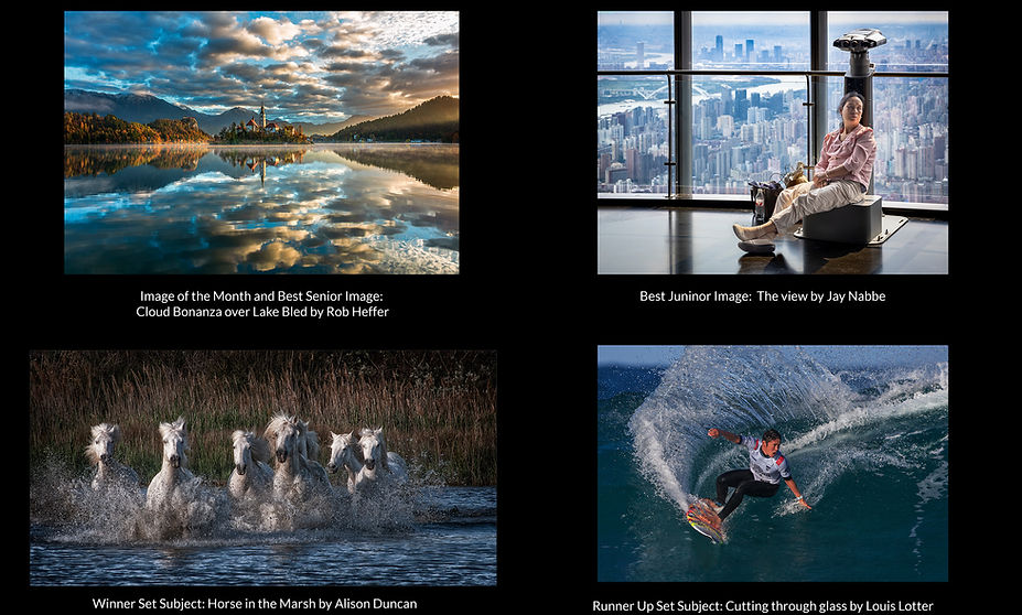 Collage for Website - March 2026 Winners.jpg