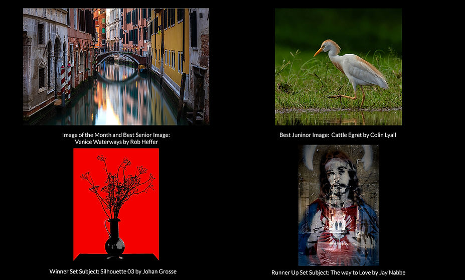 Collage for Website - April 2026 Winners.jpg