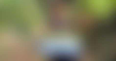 Valorização do produtor na Cooperativa VinÃcola Garibaldi começa desde cedo