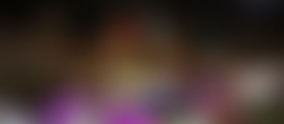 Sparkling Night Run integra atletas e comunidade em sua maior edição