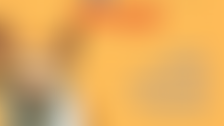 Bento Pet: campanha de adoção de gatos será realizada neste sábado