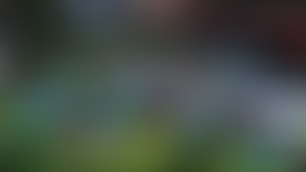 Piquenique Solidário do Mão Amiga será realizado no dia 29 de março em prol da inclusão de crianças na educação infantil