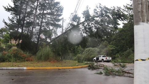 Prefeitura de Garibaldi age imediatamente nas ocorrências provocadas pela chuva e ventanias