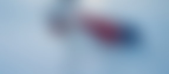 Filme 'Superman' contribui para aumento na adoção de cães nos EUA