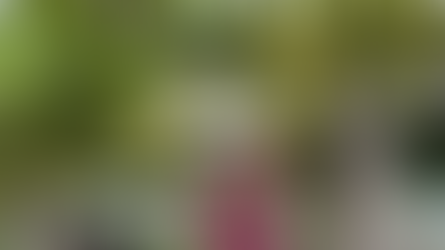 Fecouva contará com degustação e aula de vinhos em Flores da Cunha