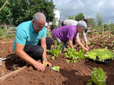 Horta Comunitária da Praça CEU é finalista do Prêmio Boas Práticas dos CEUs das Artes